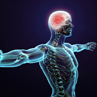 Advanced treatments for brain, back and spine